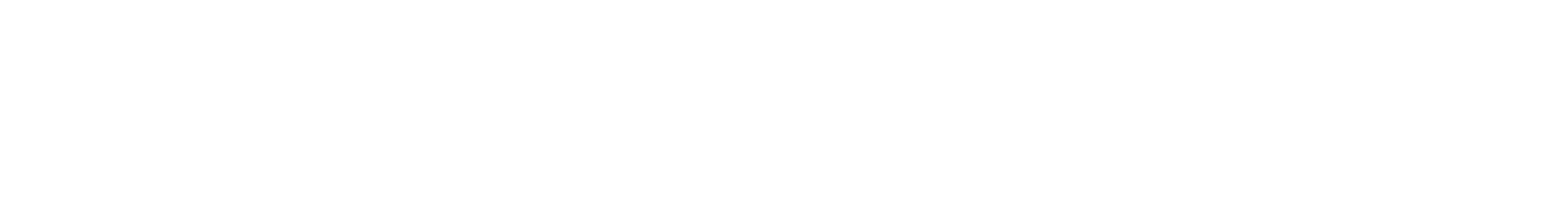 zv-logo